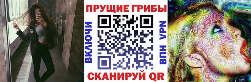 Галлюциногенные грибы прущие грибы  Купить закладки  Карпинск 